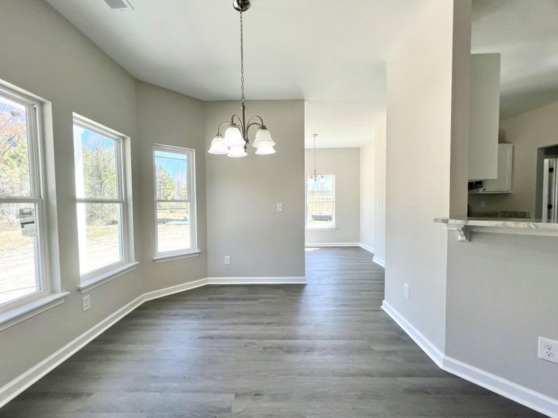 Spacious, unfurnished interior of a new home in , McClellanville (Image 16).
