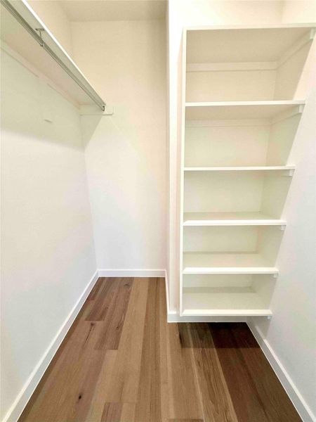 Spacious closet featuring dark wood-style flooring