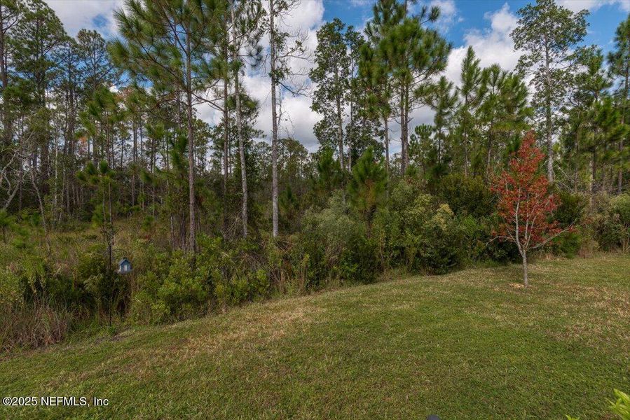 Natural landscape and outdoor views near River Glen Express in Yulee (Image 29).