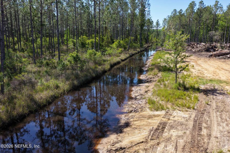 Natural landscape and outdoor views near  in Bunnell (Image 49).