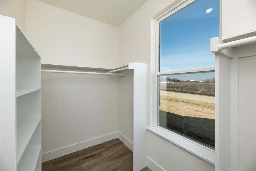 Walk in closet featuring dark wood-style flooring