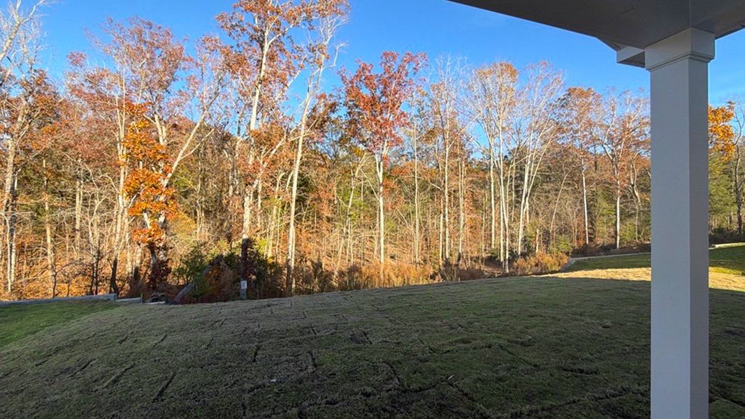 Exterior details and patio area of a home in Livingston Woods, Irmo (Image 2). Exterior details and patio area of a home in Livingston Woods, Irmo (Image 2).
