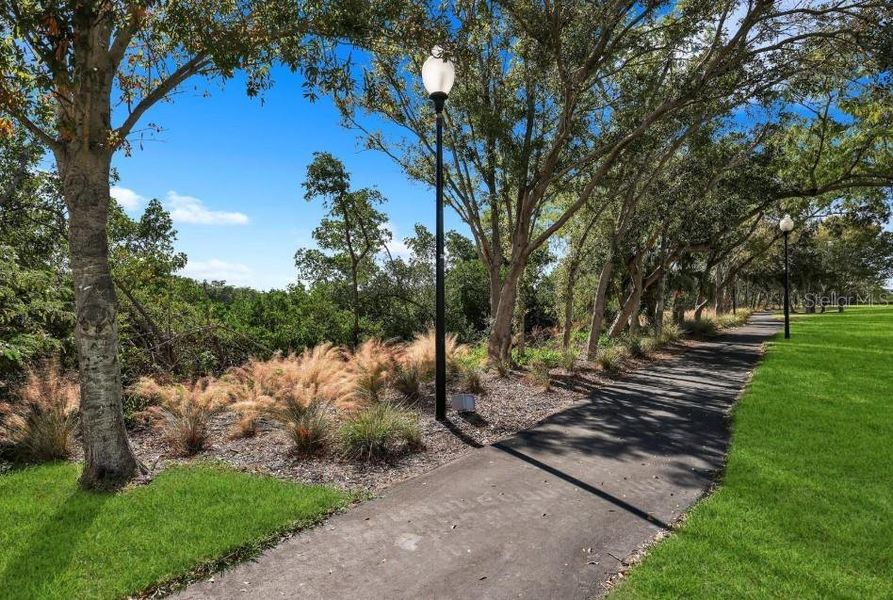 Natural landscape and outdoor views near  in Seminole (Image 15).