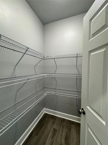 Spacious, unfurnished interior of a new home in , Dade City (Image 58).