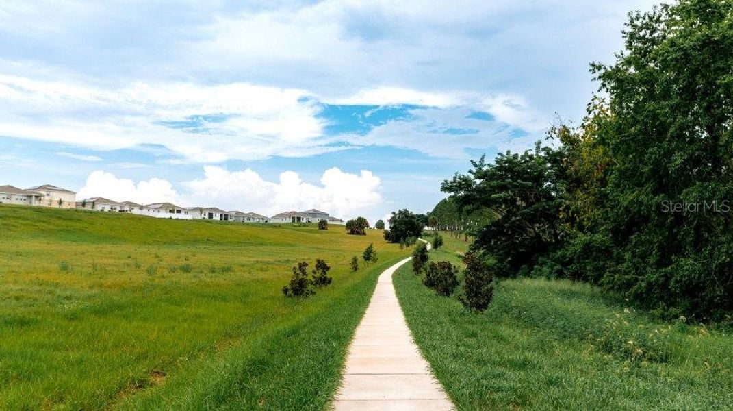 Natural landscape and outdoor views near Crosswinds in Haines City (Image 31). Natural landscape and outdoor views near Crosswinds in Haines City (Image 31).