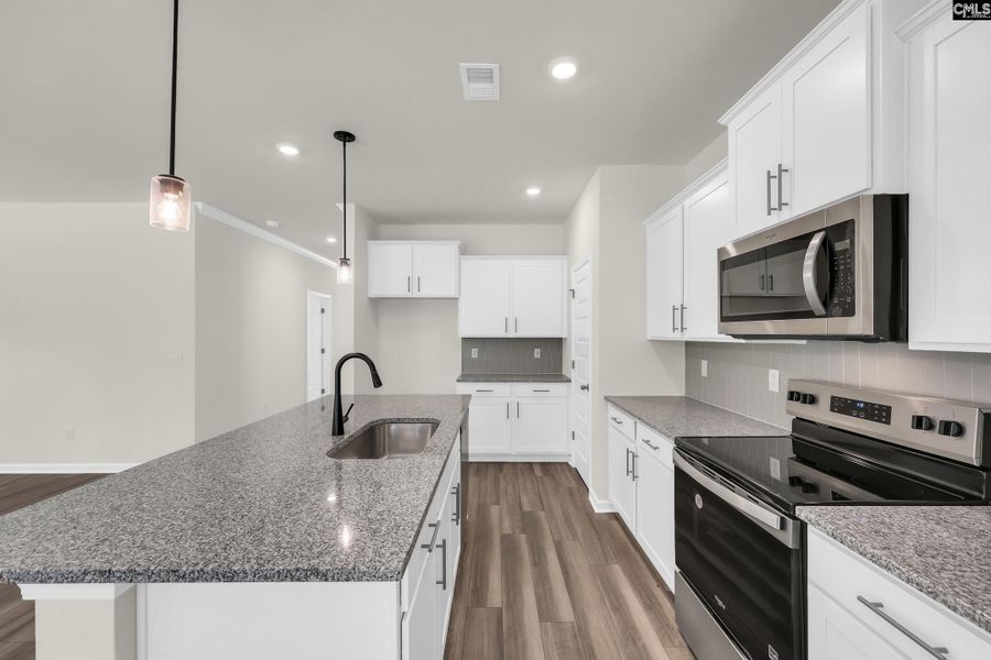 Furnished interior view inside a new home in Old Charleston Acres, Pelion (Image 5).