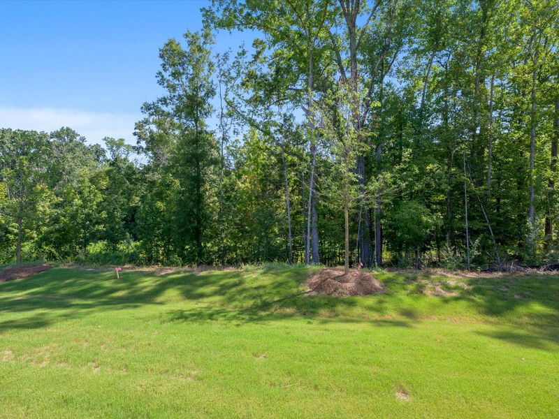 Natural landscape and outdoor views near Westview Towns in Waxhaw (Image 40).