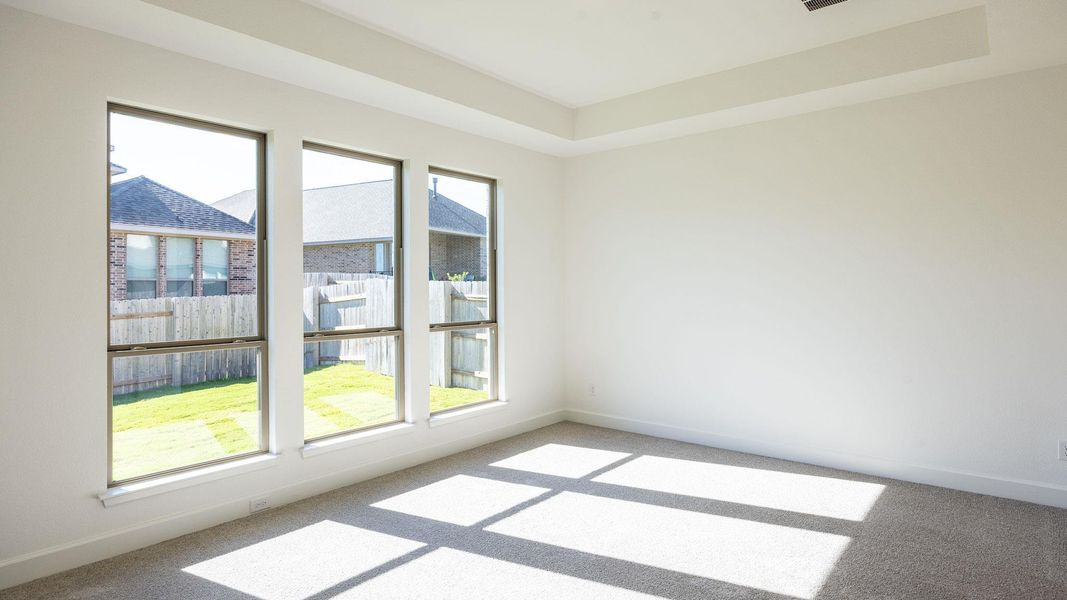 Spare room with carpet floors and a tray ceiling Spare room with carpet floors and a tray ceiling