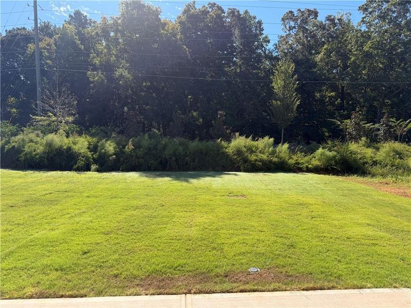 Natural landscape and outdoor views near The Brooke at Rivertown in South Fulton (Image 21).