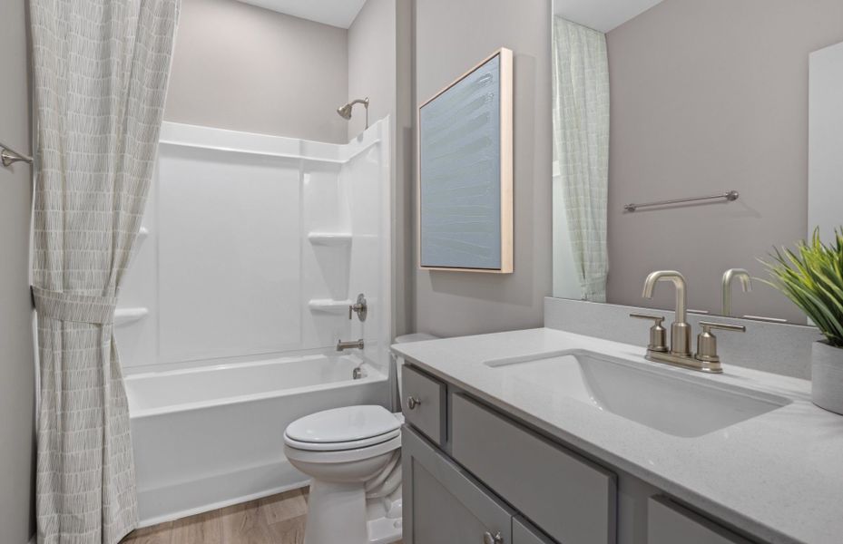 Beautiful Guest Bath