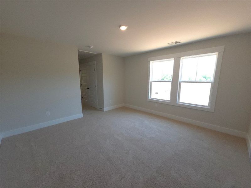 This spacious room features ample natural light an