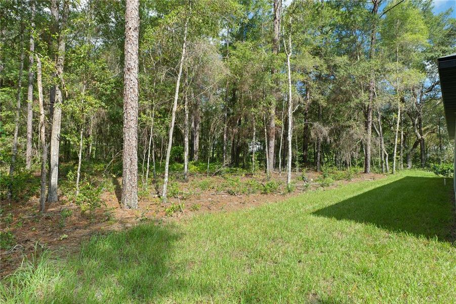 Natural landscape and outdoor views near in Lecanto (Image 58). Natural landscape and outdoor views near in Lecanto (Image 58).