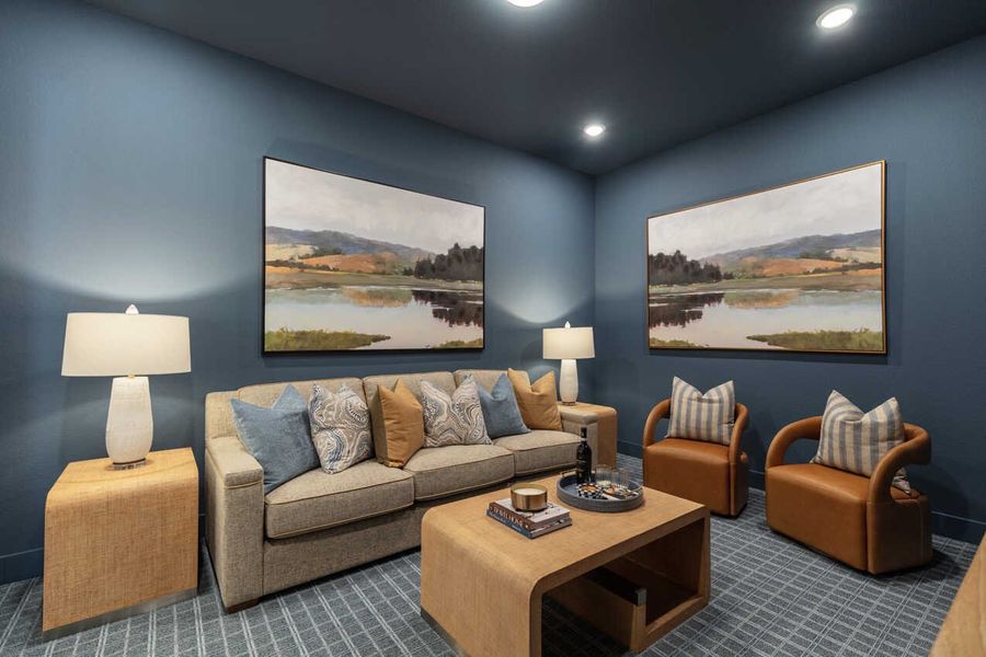 Entertainment Room