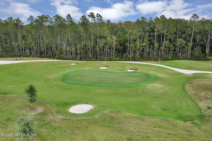 Natural landscape and outdoor views near  in St. Augustine (Image 48).