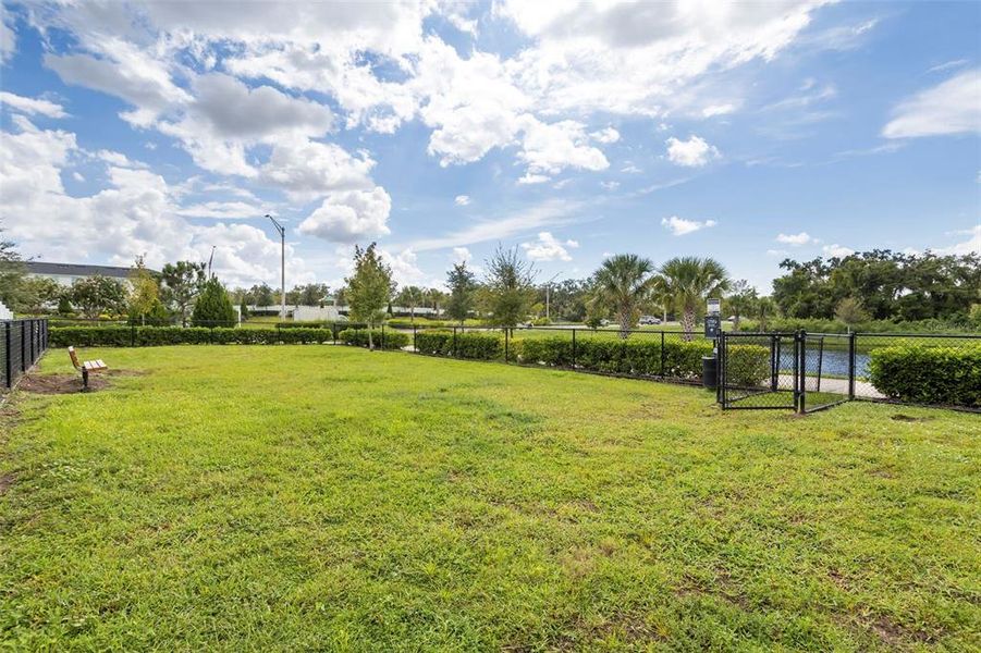 Natural landscape and outdoor views near  in Bradenton (Image 38).