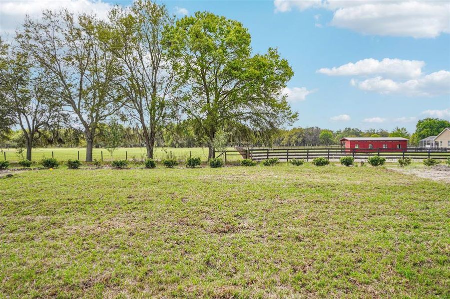 Natural landscape and outdoor views near Sumter Villas in Sumterville (Image 35).
