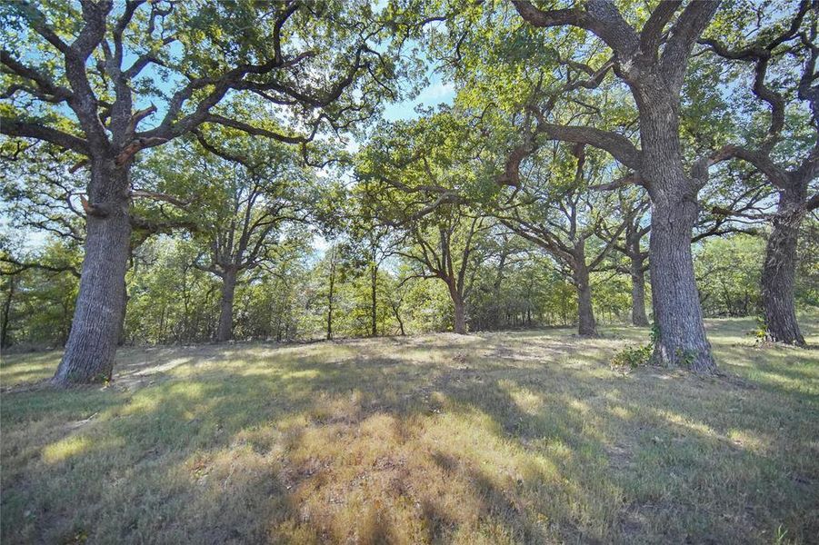 Natural landscape and outdoor views near in Perrin (Image 27). Natural landscape and outdoor views near in Perrin (Image 27).