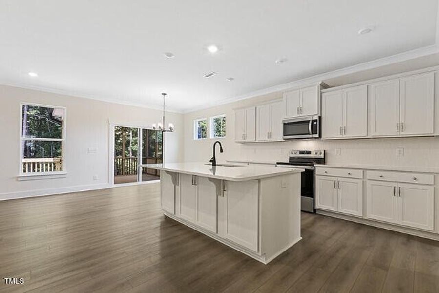 54564118990_4cb5c6a221_z