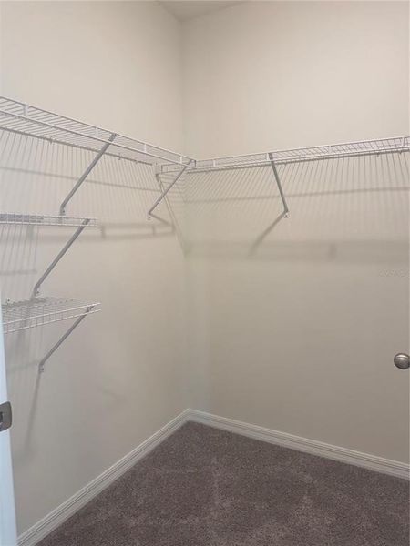 Spacious, unfurnished interior of a new home in Eden Hills, Lake Alfred (Image 13).