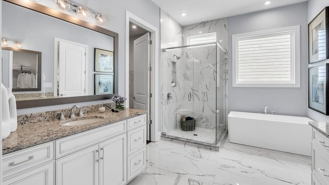 Owner's Bath