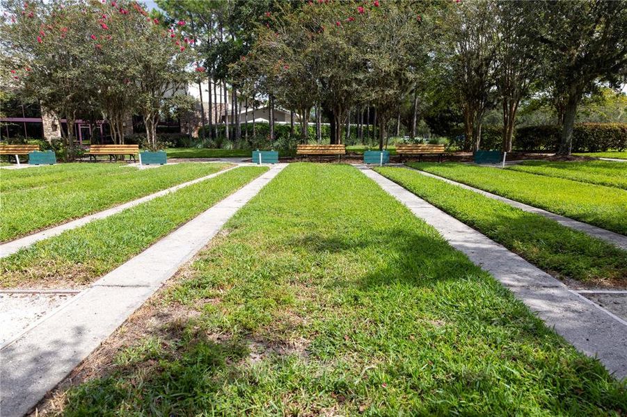 Natural landscape and outdoor views near Del Webb Stone Creek in Ocala (Image 42).