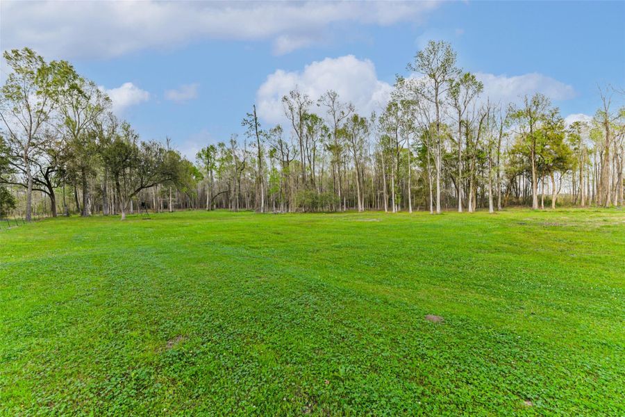 Natural landscape and outdoor views near  in Hull (Image 40).