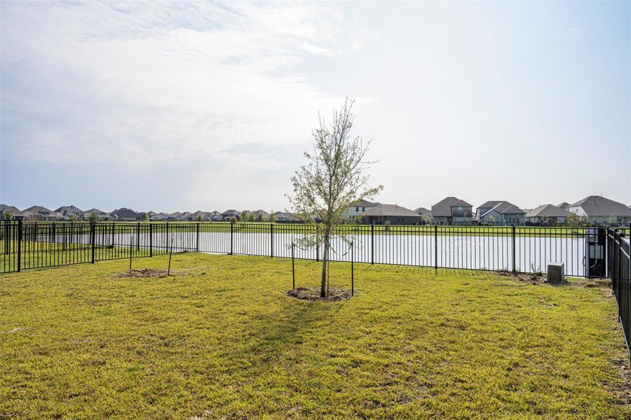 Natural landscape and outdoor views near Sunterra in Katy (Image 42).