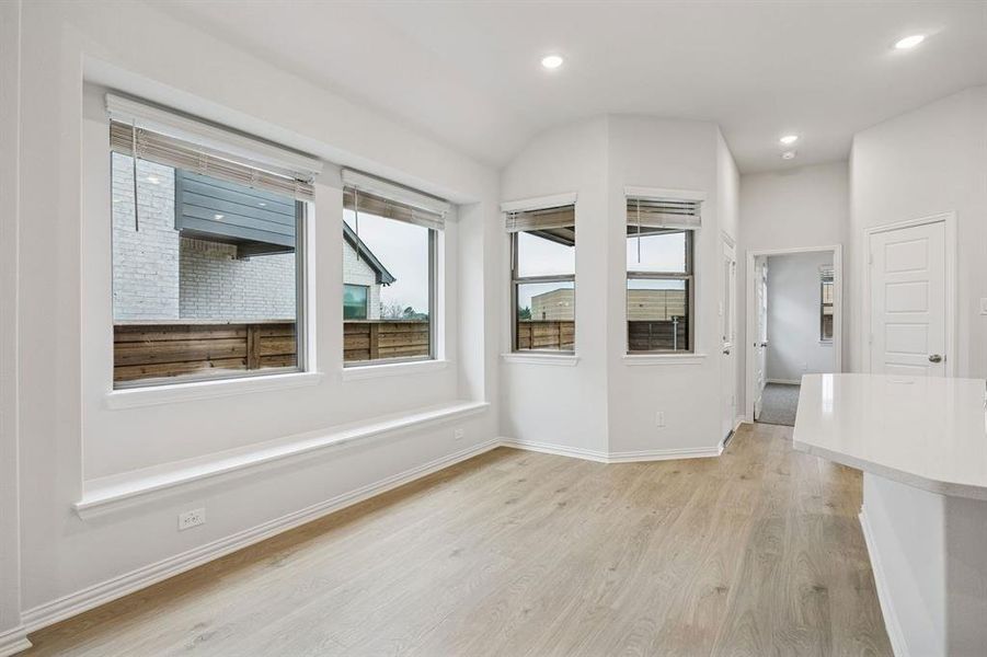 2205 Hazel Lily 2205 Hazel Lily