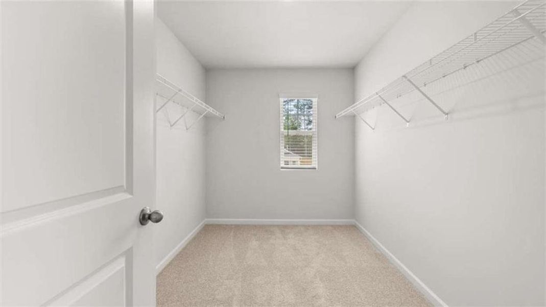 Spacious, unfurnished interior of a new home in Shoal Creek, Hampton (Image 12).