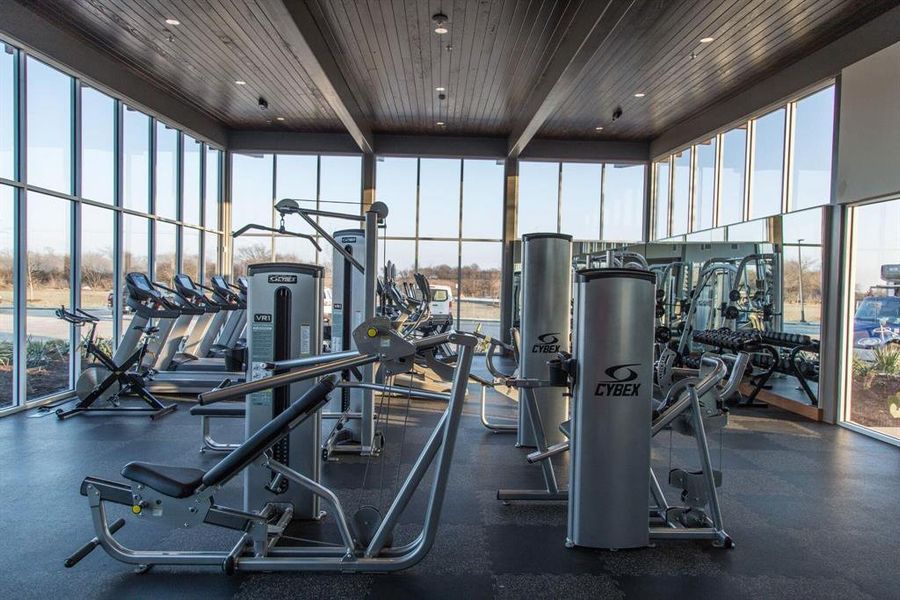 Gym featuring expansive windows, plenty of natural light, and wood ceiling