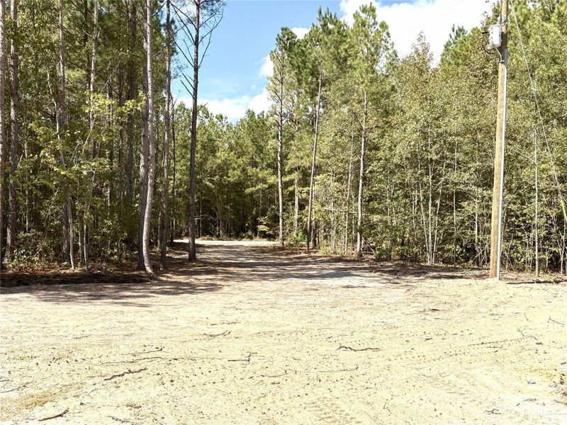 Natural landscape and outdoor views near  in Kershaw (Image 31).