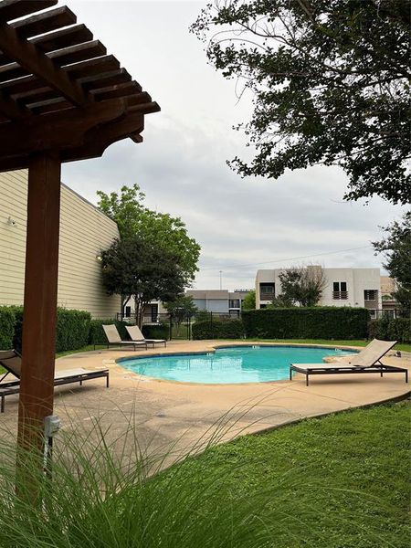 Outdoor swimming pool surrounded by a concrete deck and green landscaping
