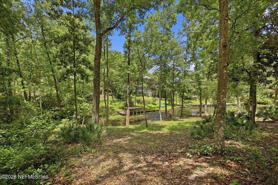 Natural landscape and outdoor views near  in Green Cove Springs (Image 32).