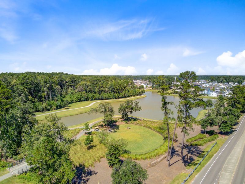 Natural landscape and outdoor views near Sweetgrass at Summers Corner in Summerville (Image 70).