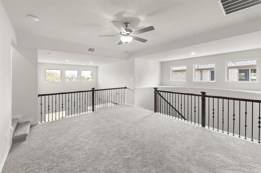 15_Grapevine II_Representative Photo