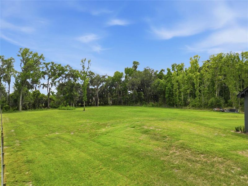 Natural landscape and outdoor views near  in Lakeland (Image 72).