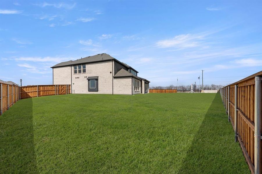 27. 9705 Merlos - Back (2)