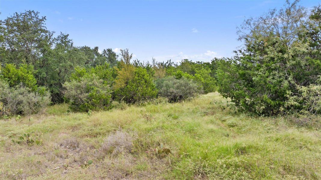 Natural landscape and outdoor views near in Spicewood (Image 16). Natural landscape and outdoor views near in Spicewood (Image 16).