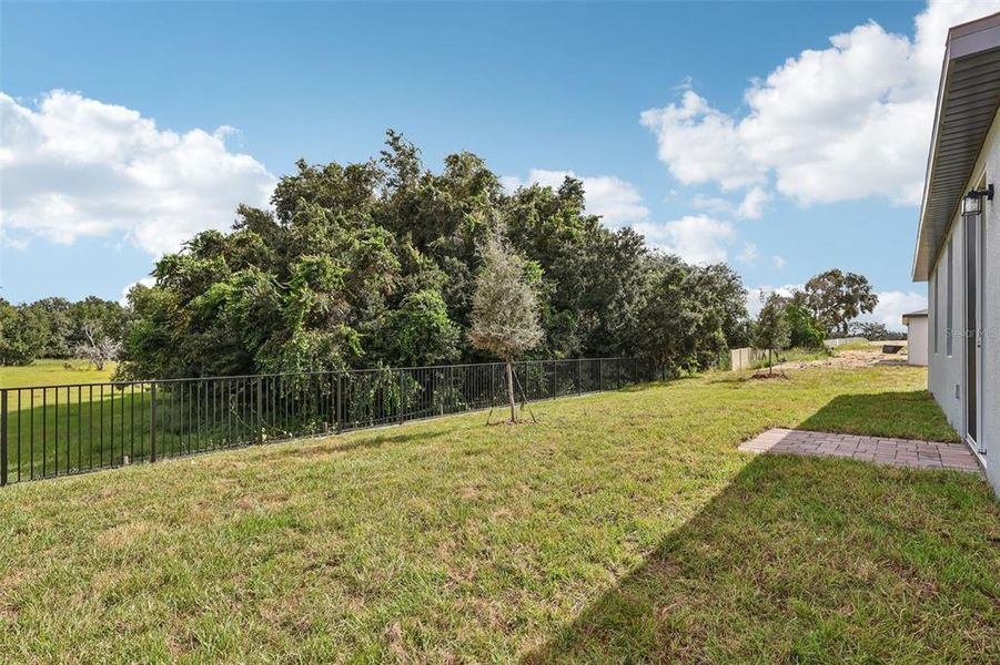 Exterior details and patio area of a home in Bradbury Creek - Signature Series, Haines City (Image 25).