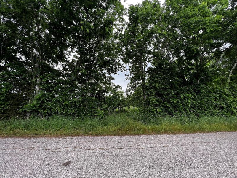 Natural landscape and outdoor views near  in Brenham (Image 5).