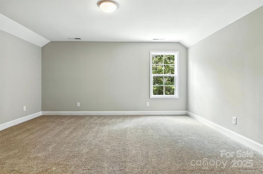 Bonus room/Flex space Bonus room/Flex space