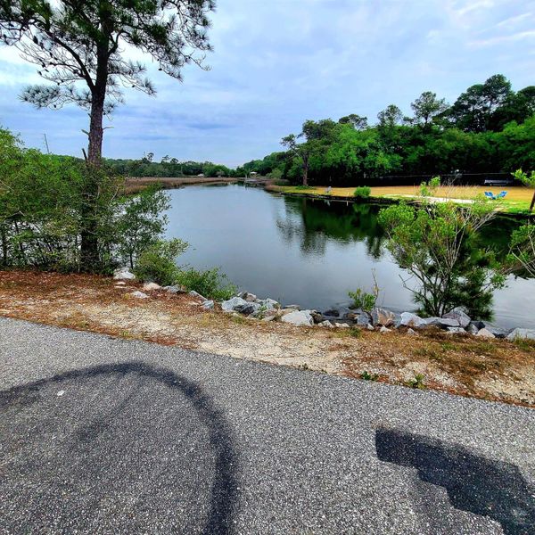 Natural landscape and outdoor views near  in Charleston (Image 27).