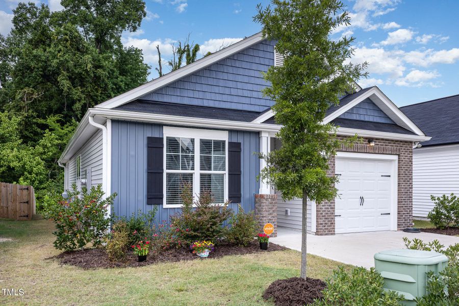 002_img_0138-edit_346 002_img_0138-edit_346