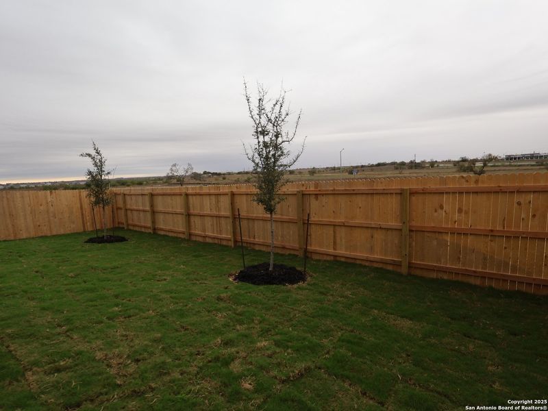 Exterior details and patio area of a home in Paloma Park, Converse (Image 4). Exterior details and patio area of a home in Paloma Park, Converse (Image 4).