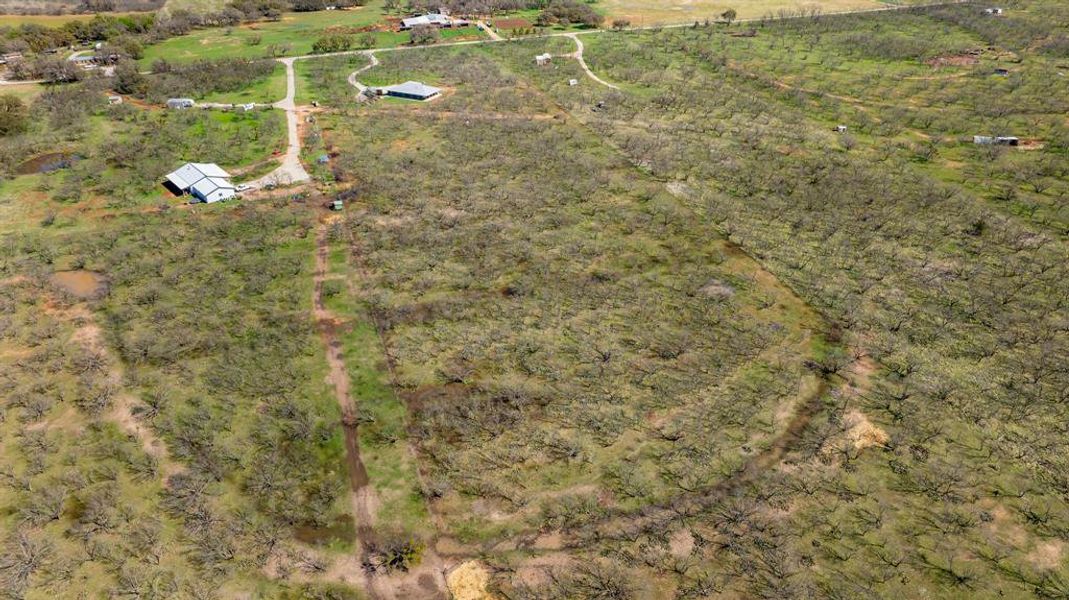 Natural landscape and outdoor views near  in Early (Image 26).