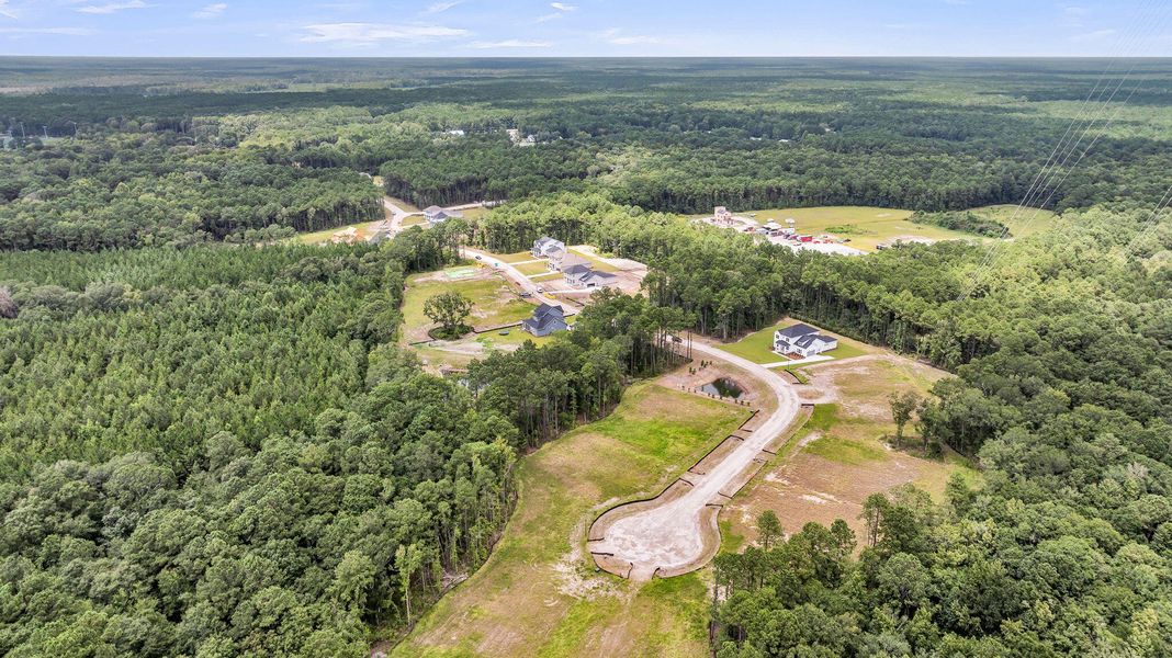 Site preparation for new homesites in Hidden Ponds Reserve, Awendaw (Image 34).