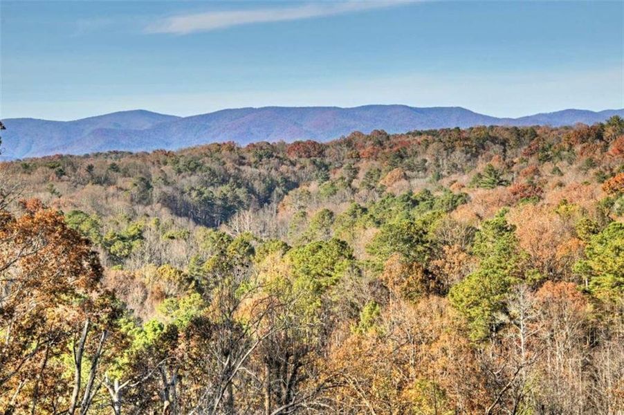 Natural landscape and outdoor views near  in Ellijay (Image 37).