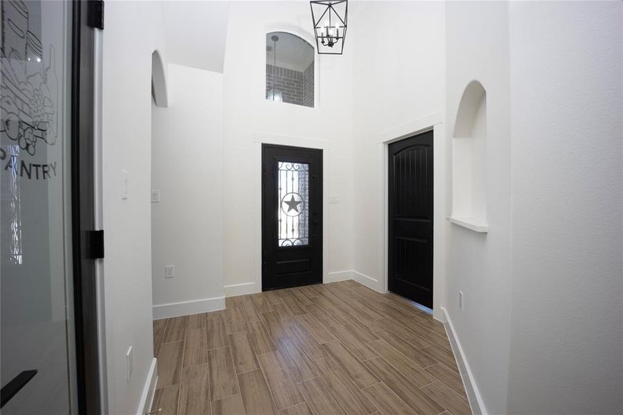 Entryway with wood finish floors and a high ceiling