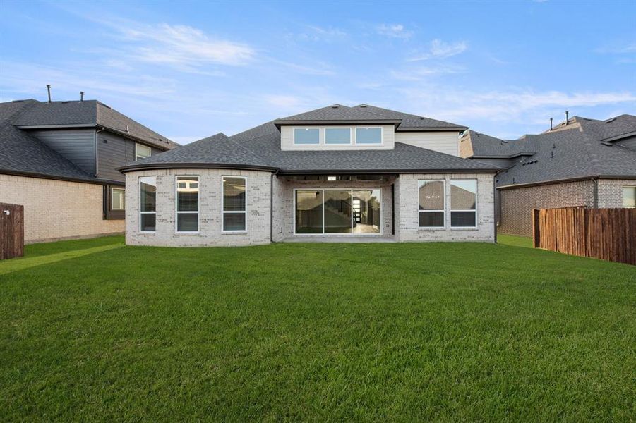 3_2115 Birdwatch- Back-2