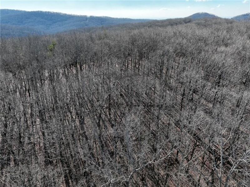 Image 37 of a home in .